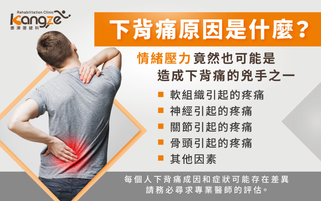 下背痛站不直-專欄文章圖_02